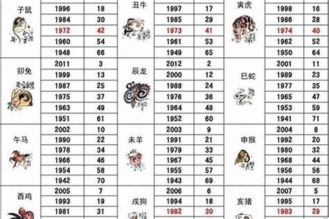 1989属相